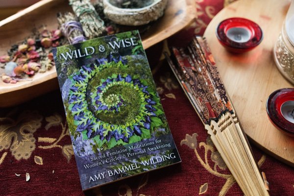 Wild & Wise by Amy Wilding, Womancraft Publishing