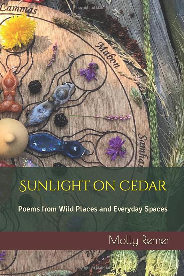 Sunlight on Cedar by Molly Remer