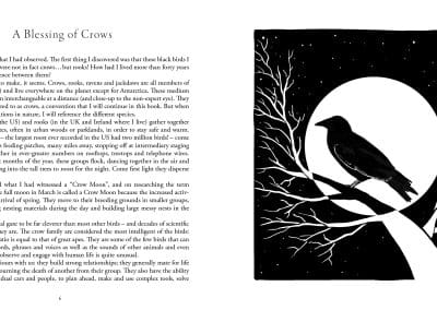 Crow Moon by Lucy H. Pearce, Womancraft Publishing