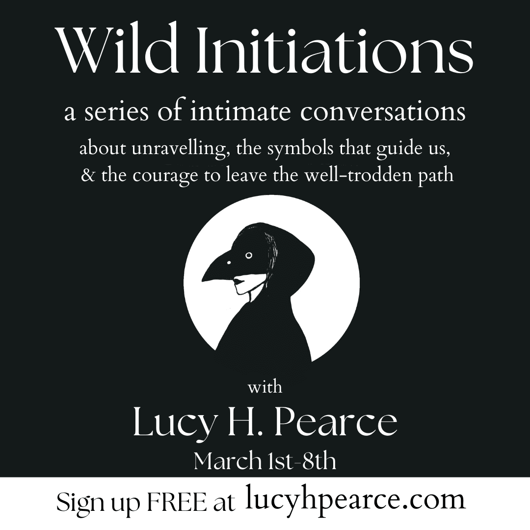 Wild Initiations: A series of intimate conversations about unravelling, the symbols that guide us, and the courage to leave the well-trodden path