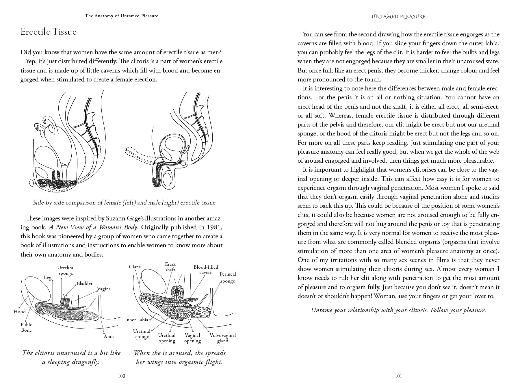 Untamed Pleasure by Carly Mountain, Womancraft Publishing