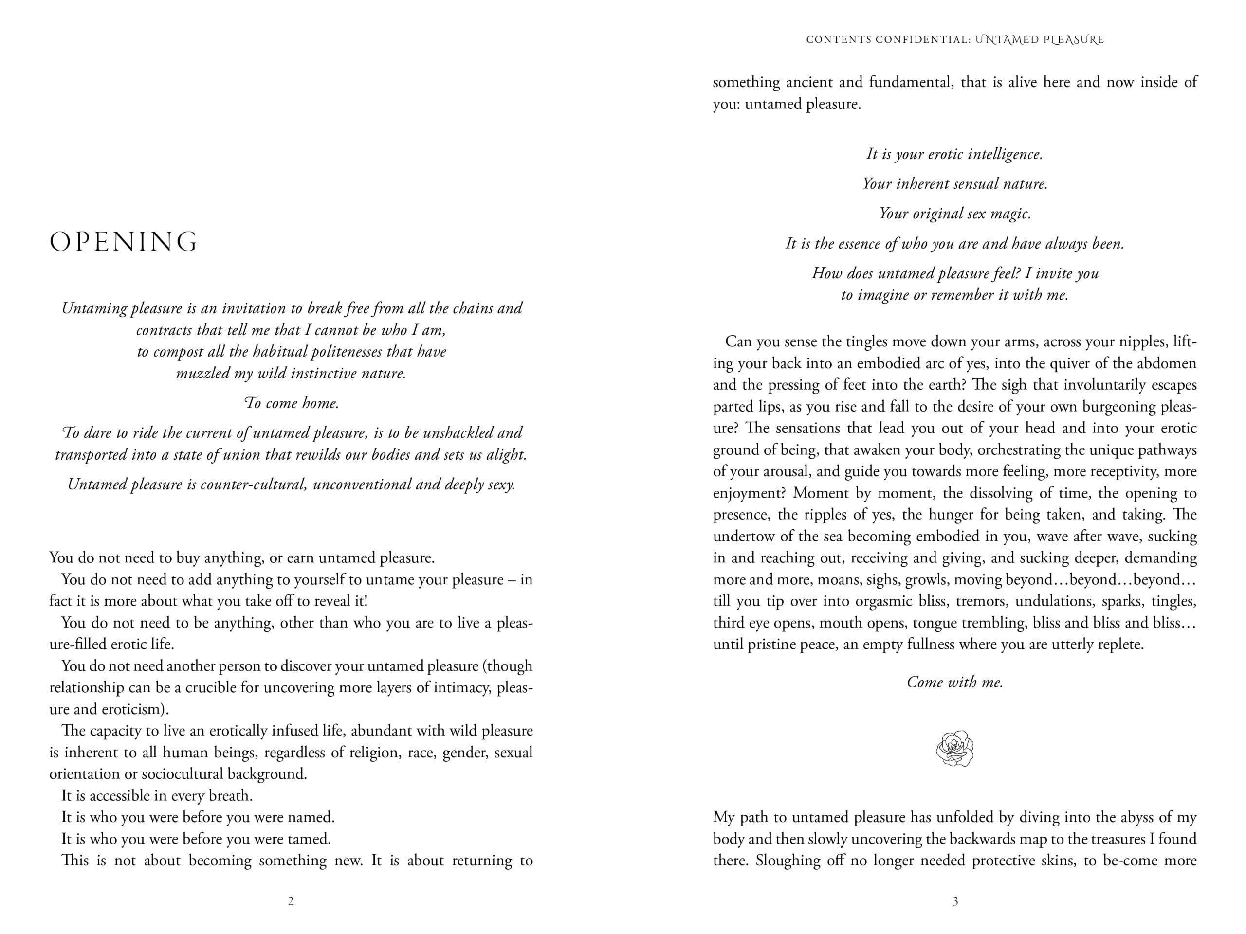 Untamed Pleasure by Carly Mountain, Womancraft Publishing