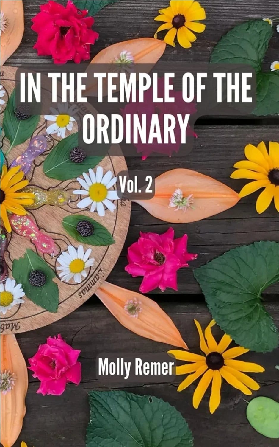 In the Temple of the Ordinary: Vol 2
