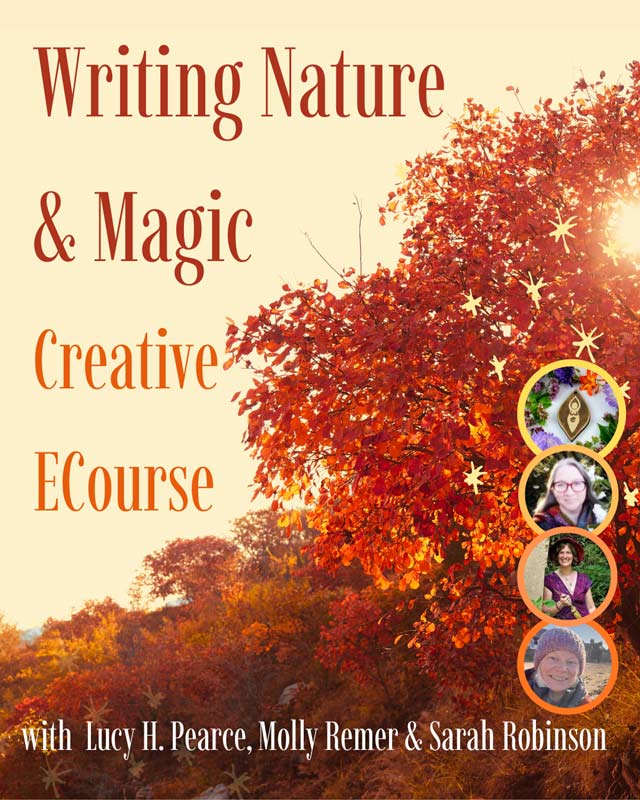 without-Book-Now Writing Nature and Magic 2026